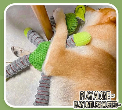 Dog Chew Toys Durable Bite Resistant