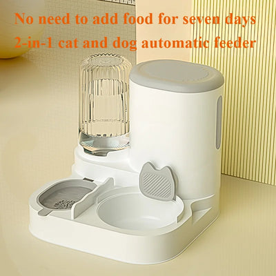 Cat bowl automatic feeder for pets