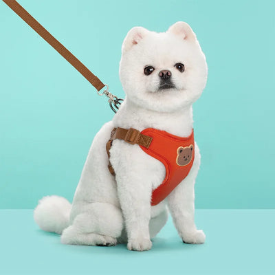 Pet Dog Harness Leash Set