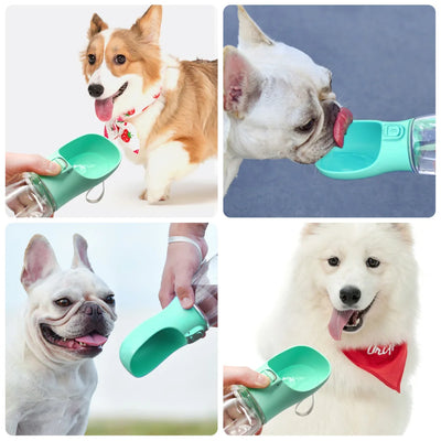 Travel Feeding Bowls