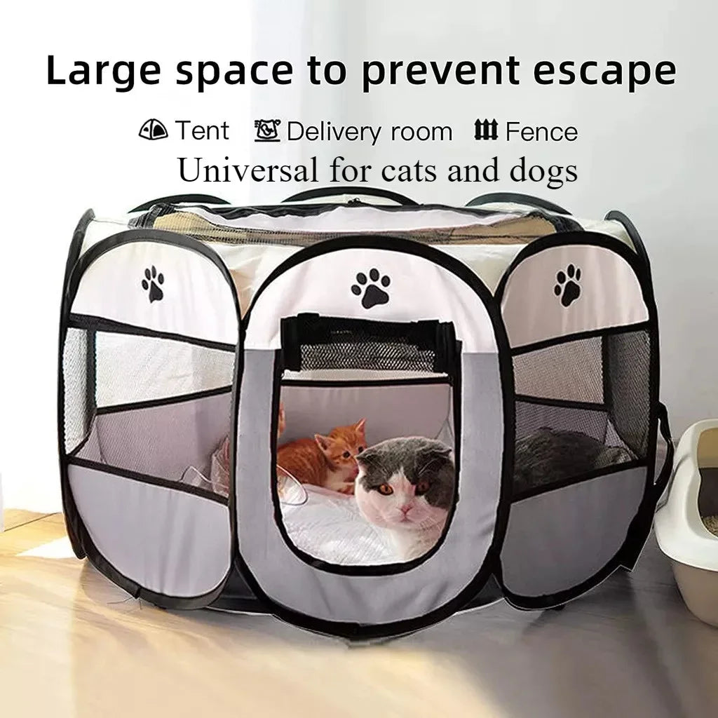Cat bowl automatic feeder for pets