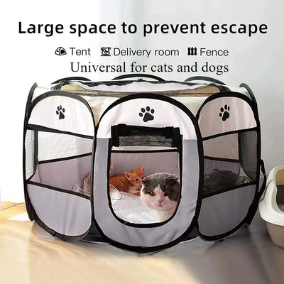 Cat bowl automatic feeder for pets